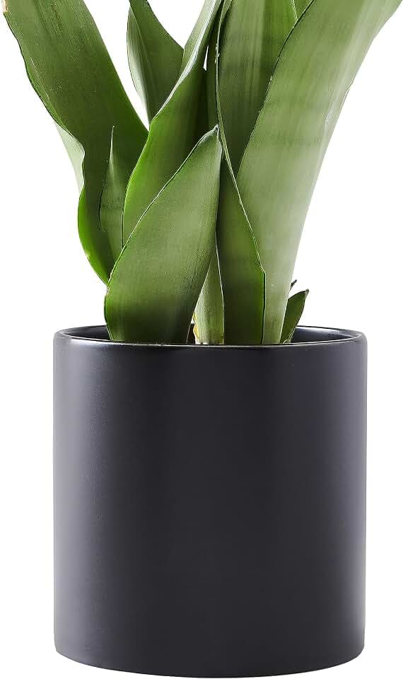 Premium Ceramic Planter Pot, Black, Indoor/Outdoor, Drain Hole & Rubber Plug, Modern Minimalist Style