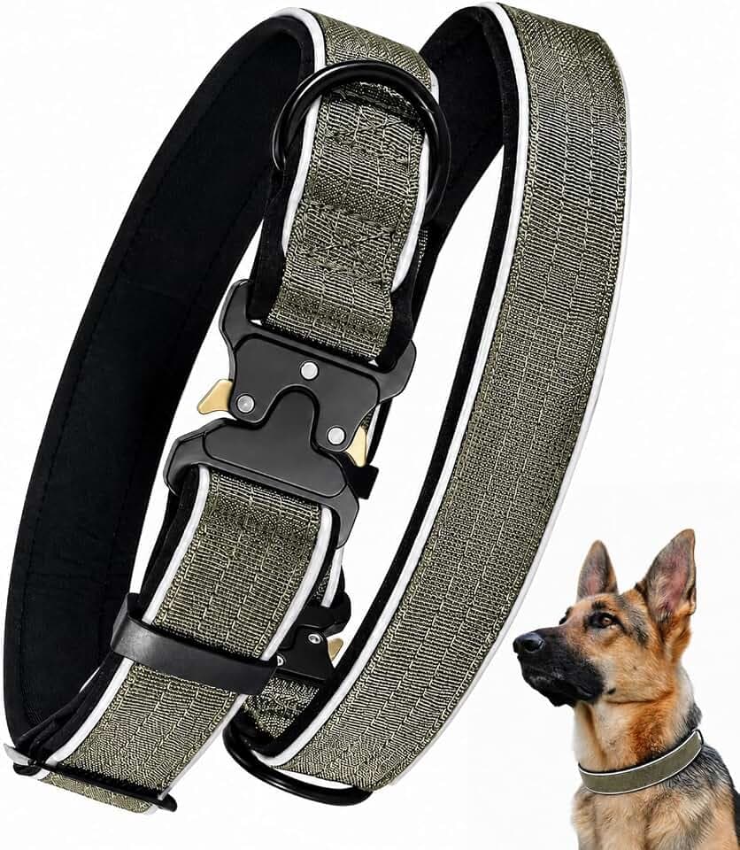 Reflective Tactical Dog Collar, Heavy Duty Metal Buckle, Army Green, Medium