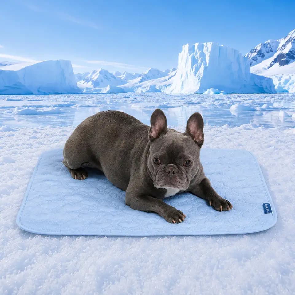 Spark Paws FrostCore Dog Cooling Mat - Non Gel Self Cooling Pet Pad