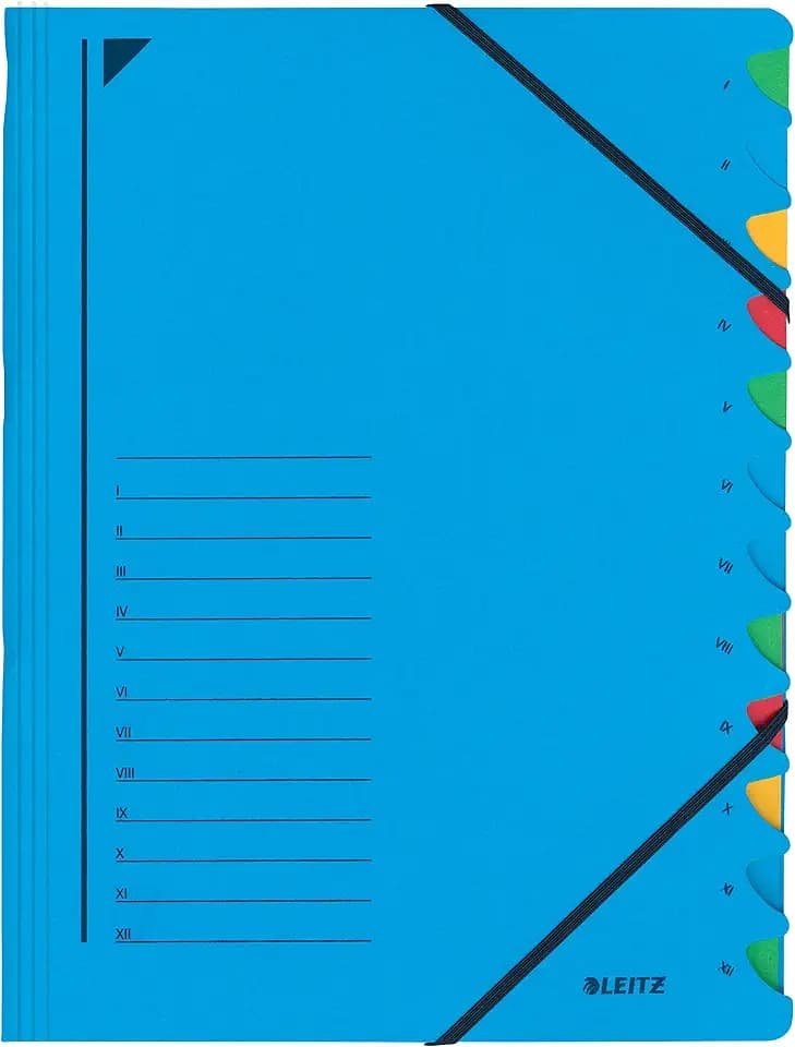 Leitz 39120335 Ordnungsmappe (A4, 12 Fächer) blau