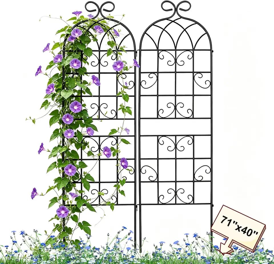 Lorenzo 71 x 40 Inch Rustic Iron Garden Trellis for Climbing Plants Outdoor, Black Metal Arch Decoration Plant Supporting Perfect for Roses Flower Cucumbers Courtyards Lawns Clematis