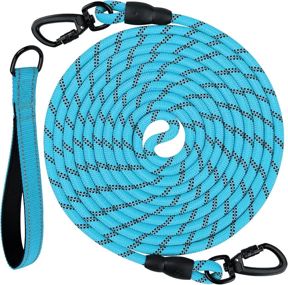 Joytale Long Dog Leash for Yard Tie Out & Recall Training, Blue, 65FT