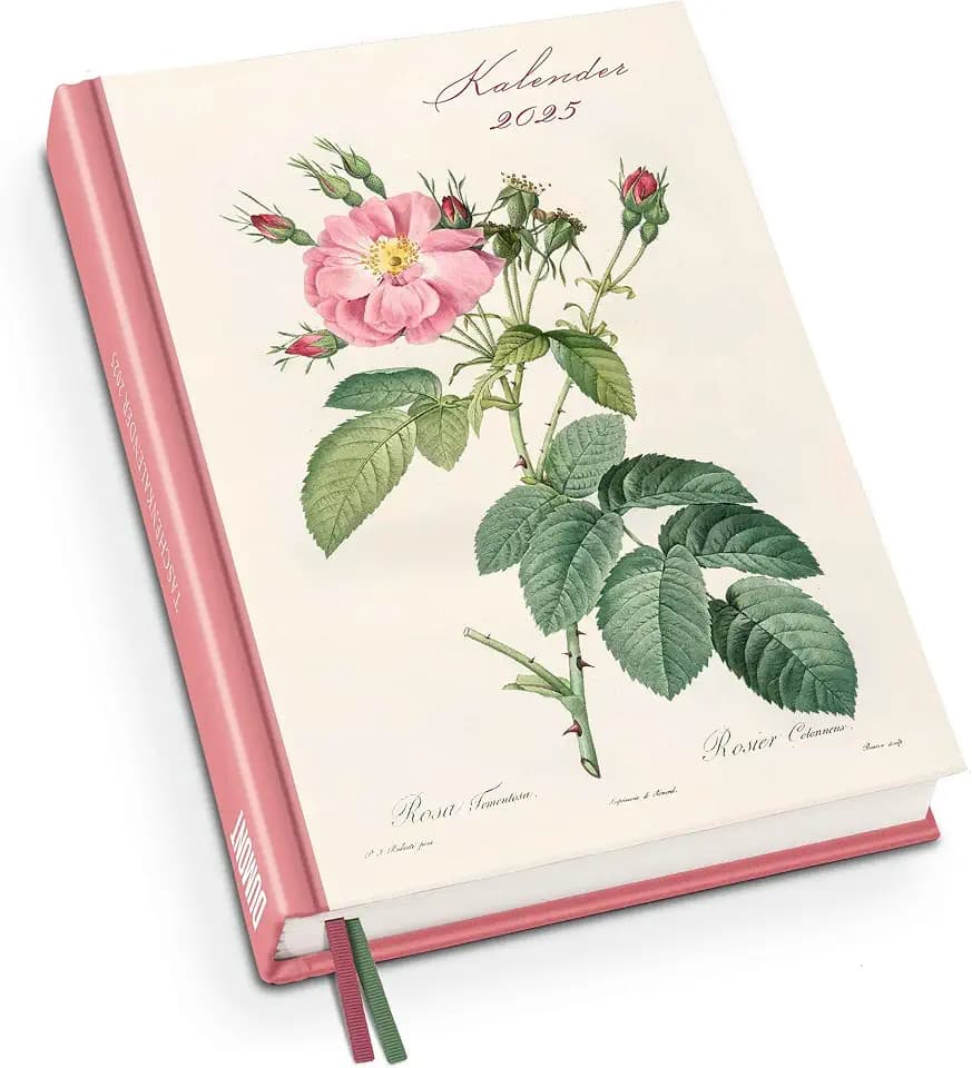 DUMONT - Redoutés Rosen 2025 Taschenkalender, Terminplaner mit Wochenkalendarium, zwei Läsebändchen und vielen Sonderseiten