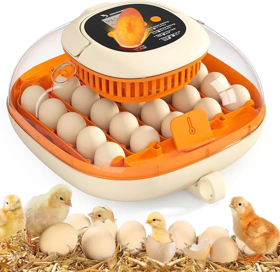 Chickcozy 25 Egg Incubator, Automatic Egg Turner with Thermometer Seat and Humidity Control, Egg Candler, 360° View with Clear Window, Incubators for Hatching Chicks (Sunlit Orange)