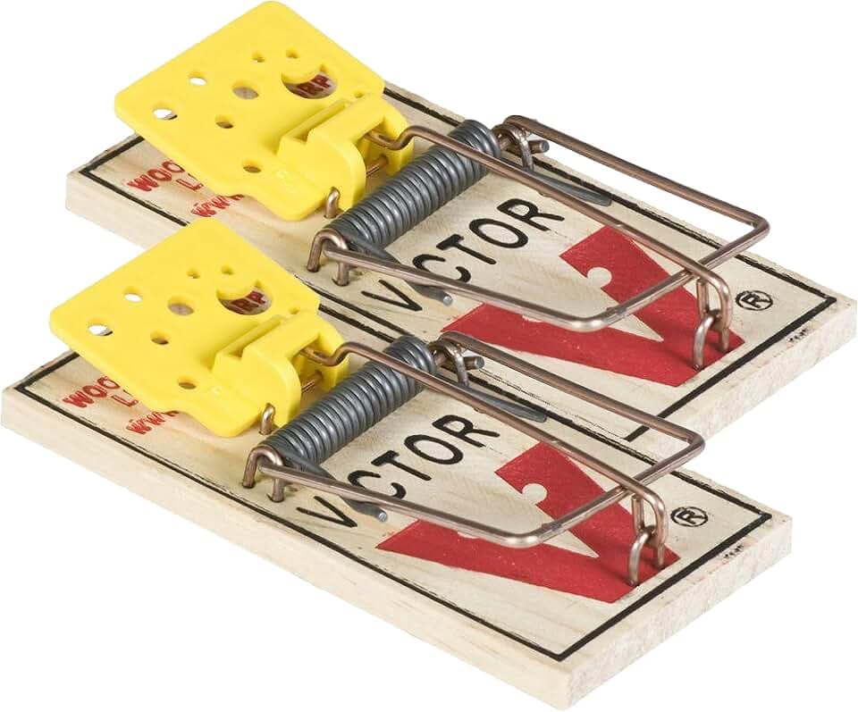Protect Home Mausefalle Classic, Holz, Klassische Schlagfalle mit hoher Schlagkraft, 2 Stück