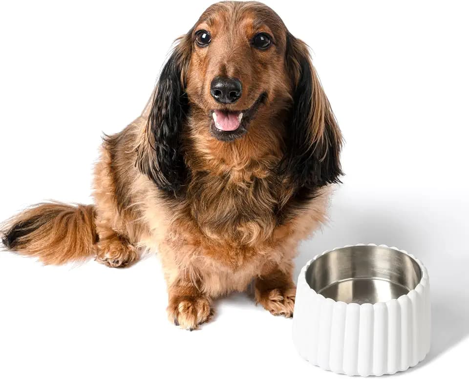 Ripple Ridge 16oz (2 Cups) Small/Medium Slanted Pet Feeder with Weighted Concrete Base and Removable Stainless Steel Bowl, Non-Slip Dishwasher Safe for Dogs, Cats, White DBL3001B