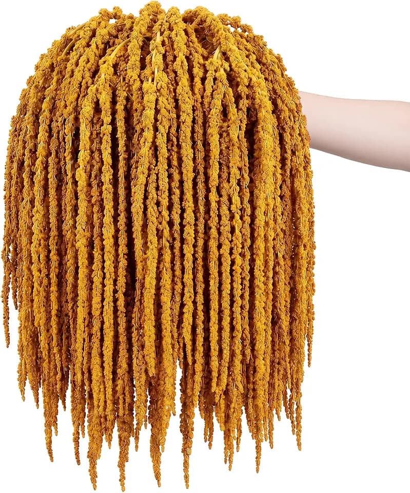 Suncalla 12 Pcs Yellow Spring Natural Dried Amaranthus Hanging Flowers Amaranthus Artificial Flowers for Wedding Arch Bouquet Floral Garland Wall Home Decoration (23 Inch)