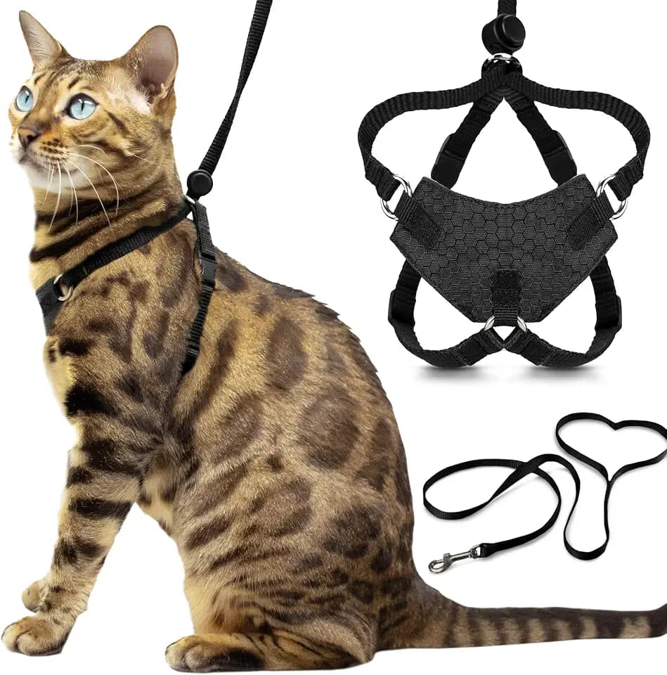 OutdoorBengal Houdini™ Escape Proof Cat Harness and Leash (Black, M/L)