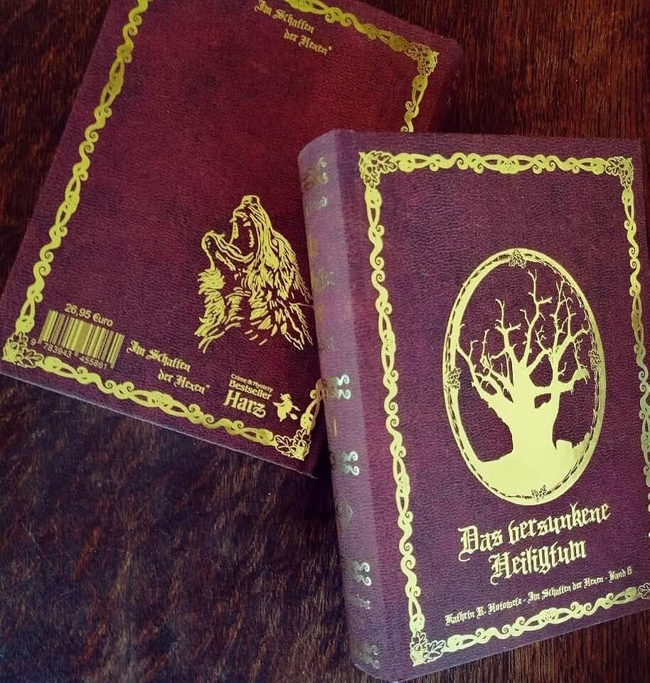 Im Schatten der Hexen VI: Das versunkene Heiligtum - Schmuckedition Bd. 6 - Ein mystischer Harz-Thriller (Im Schatten der Hexen: Jage nicht, was Du nicht töten kannst!)