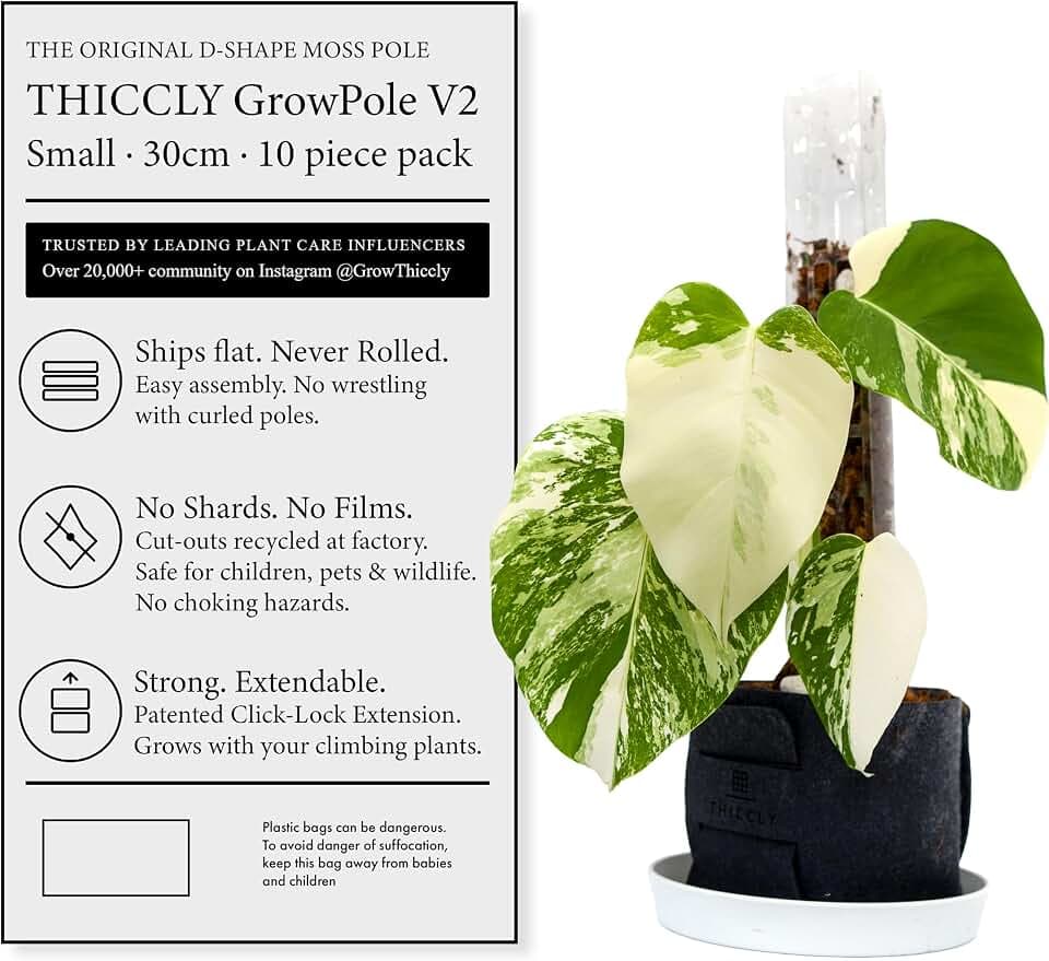 THICCLY V2 GrowPole Small 10 Pcs – Original D-Shape Moss Pole for Climbing Plants, Moisture-Locking Closed Back, Stackable Extendable Support for Monstera, Philodendron, Pothos & Anthurium