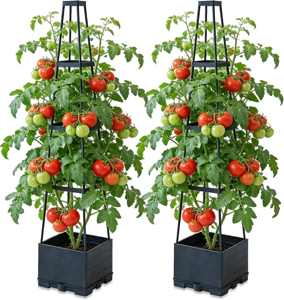 BRGD 2 Pack Selbstbewässerung Tomatentopf mit Rankhilfe, Pflanzkübel Pflanzenstütze für den Anbau von Tomaten, Gurken, Bohnen, Rosen, Petunien