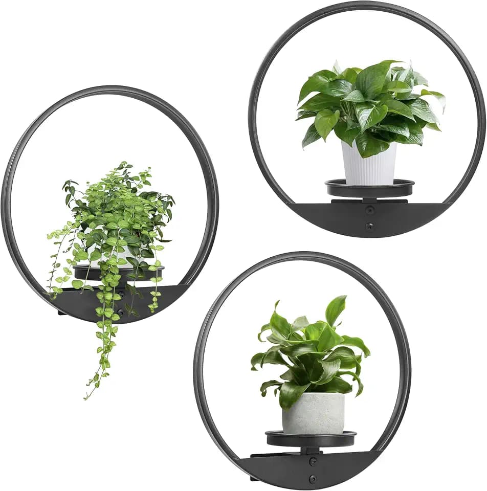 Round Picture Frame Wall Plant Holder Black Wall Hanging Planters Metal Window Plants Shelf Plant for Indoor Outdoor Garden Flat decoration 3 Pack