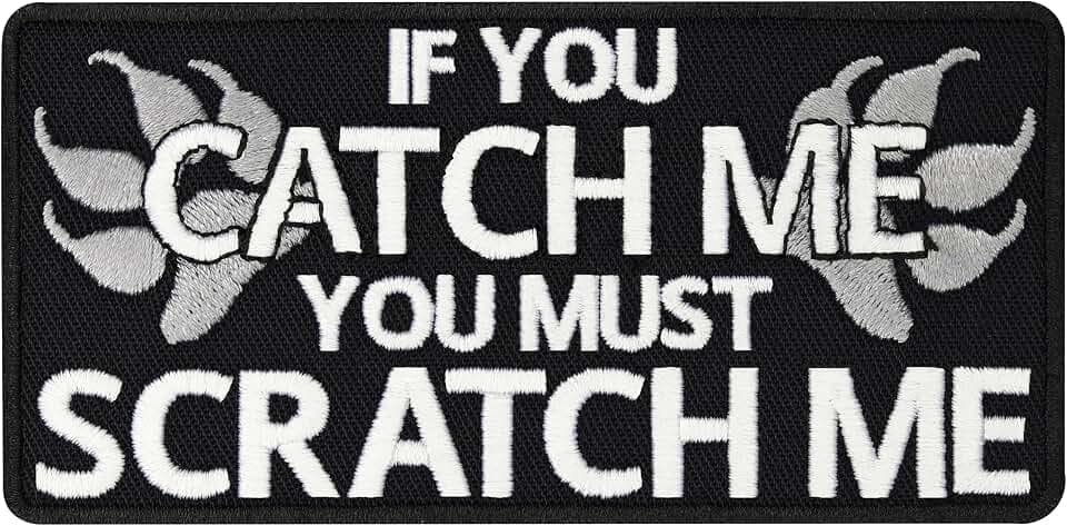 Service Dog Patch Hunde Patches lustig Klett Patch Assistenzhunde Hund Aufnäher Hunde Patch (If you catch me you must stratch me - Klettpatch)