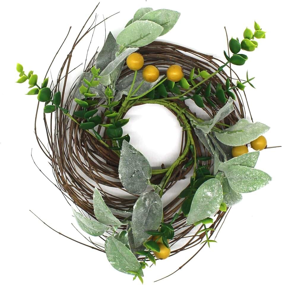 CVHOMEDECO. Rustic Country Artificial Lambs Ear/Boxwood and Twig Wreath, Year Round Full Green Wreath for Indoor or Outdoor Display, 9-Inch