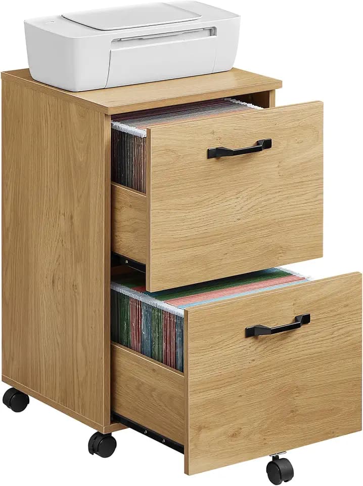 VASAGLE 2-Drawer File Cabinet, Small Rolling Filing Cabinet