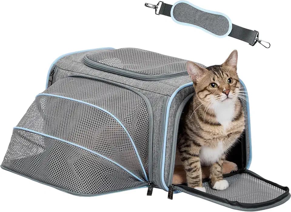 Petsfit Faltbarer Transporttasche Katze und Hund,erweiterbare Katzentransportbox mit Schultergurt Hundetragetasche Flugtasche Oxford Gewebe für Katze und Hund
