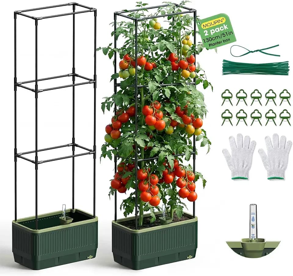 2Pack Raised Garden Bed Tomato Planter with Trellis, 52" Self Watering Tomato Planter with Water Level Indicator, Larger Rectangular Tomato Cages for Indoor & Outdoor Climbing Vegetable and Plants (2)