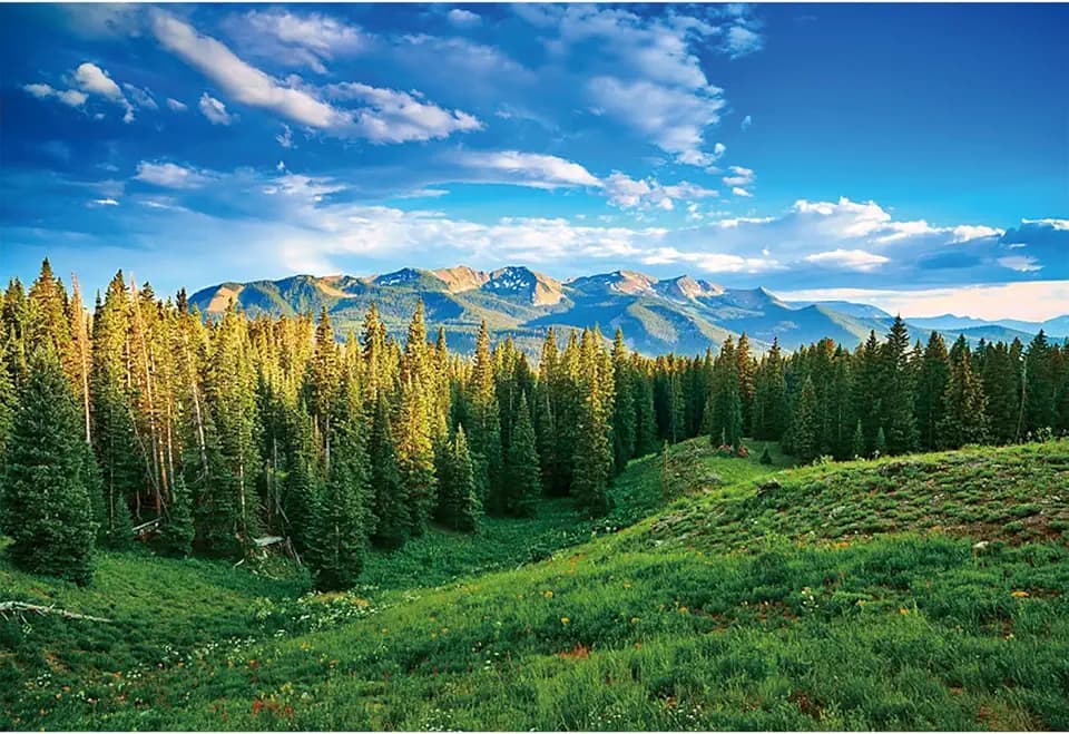 12x8ft Spring Landscape Backdrop Green Grassland Pine Trees Mountain Forest Background for Photography Nature Scenery Outdoor Hiking Camping Adventure Party Backdrop Banner Photo Studio Props