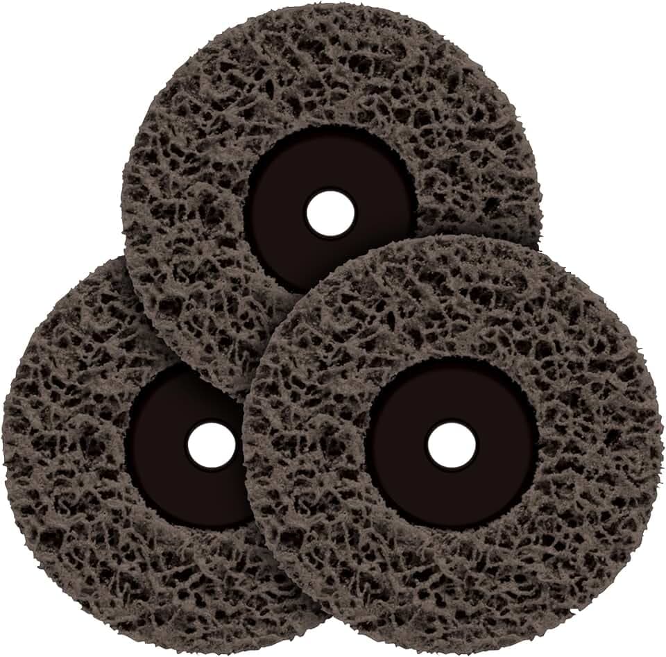Wagner Spraytech PaintEater 4.5-Inch Replacement Discs, 3-Pack