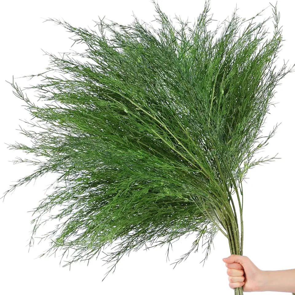 Suncalla 12 Pcs Artificial Asparagus Fern 24 Inch Faux Fern Garland