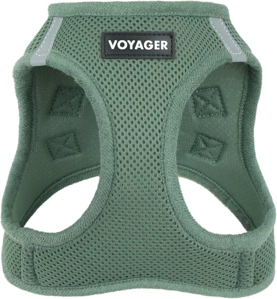 Best Pet Supplies Voyager Step-in-Air-Geschirr, Allwetter-Netzgewebe, reflektierend, kein Ziehen, Geschirr für Hunde, Katzen, sicher mit Klettverschluss, Schnalle, Doppel-D-Ringe - Moosgrün, S