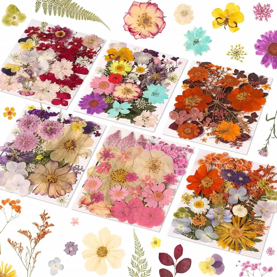 Evatage 180 Pcs Real Dried Pressed Flowers for Resin Crafts
