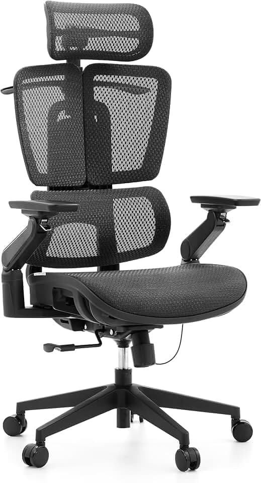 hjh OFFICE Bürostuhl Ergo U2 Pro3 – Profi Drehstuhl aus Nylon-Netz – Höhenverstellbare Lordosenstütze – Stufenlose Sitztiefenverstellung – 6D Armlehnen – Schwarz
