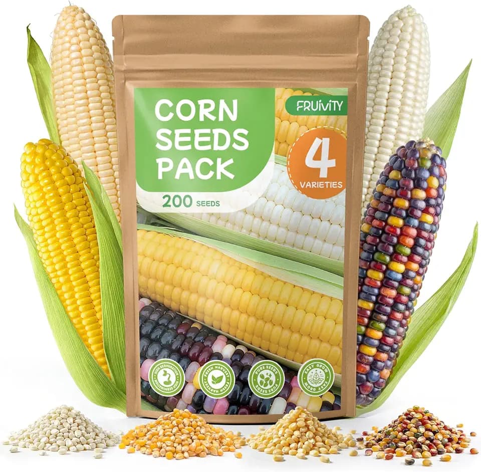 4 Corn Seeds Variety Pack - 200+ Heirloom Corn Seeds for Planting Outdoor, Includes Sweet Corn, Golden Bantam,Silver Queen & Glass Gem Corn, Perfect Home Garden Gift for Beginners, Mom, Her