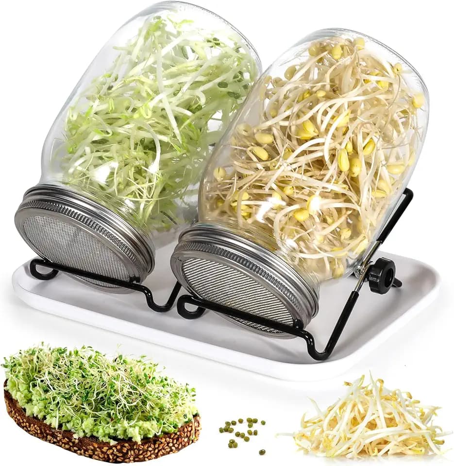 Cinnani Sprossenglas Keimglas 2er Set, 2 x 1000ml Sprossenglas mit 2 Edelstahl Deckel, 2 Einstellbare Halterung und 1 Tablett, Keimgerät Ideal für Alfalfa Brokkoli Radieschen Mungobohnen