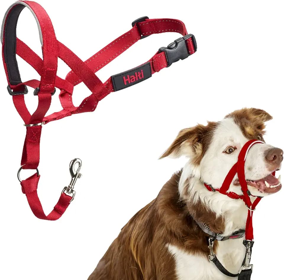 Halti Headcollar | Size 2, Red | Training Collar for Medium Dogs