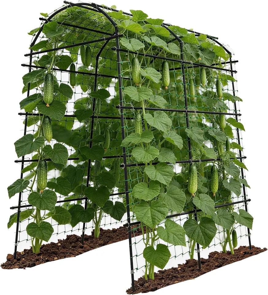 Garden Arch Trellis for Climbing Plants