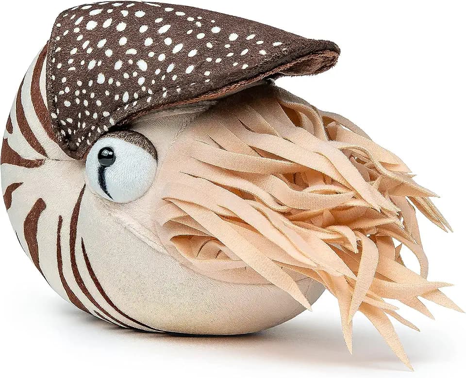 Simulation Nautilus Plush Toy - Lifelike Real Life Chambered Nautilus Stuffed, Animal Toy Soft Sea Life Toys Gifts for Kids, 8 Inches