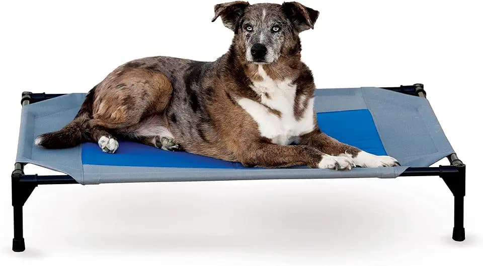 K&H Outdoor Elevated Dog Bed, Coolin' Pet Cot, Large 42x30in, Gray/Blue