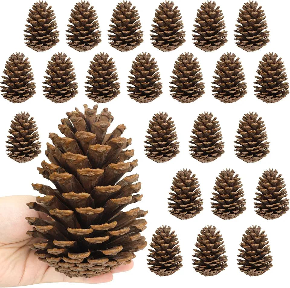 24 Stück Tannenzapfen Groß,11-14cm Kiefernzapfen,Zapfen zum Basteln für Weihnachtsbaum,Weihnachten,Tisch,Adventskranz