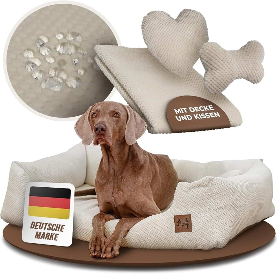 Manno Hundebett mit Memory Foam – gelenkschonendes Hundebett für mittelgroße & große Hunde | Waschbarer Bezug, rutschfest & wasserabweisend | Gratis Decke & 2 Kissen (XL)