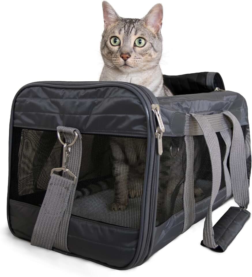 Sherpa Pet Carrier Airline Approved with Spring Wire Frame - Cat Carrier and Dog Carriers for Airline Travel and Vet Visits, Mesh Ventilation, Locking Zippers - Charcoal Grey, Large
