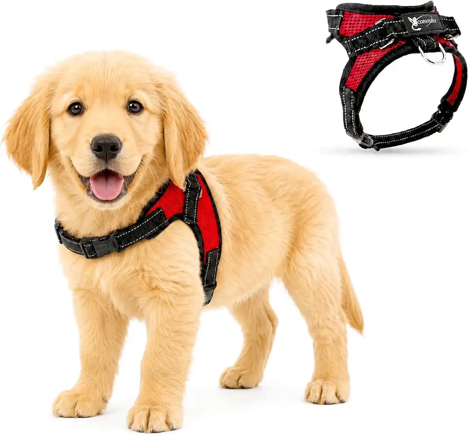 No Pull Reflective Adjustable Dog Harness with Handle- Comfortable Soft All Weather Mesh, Easy On Puppy Harness for Small Medium and Large Dogs (Red) Small