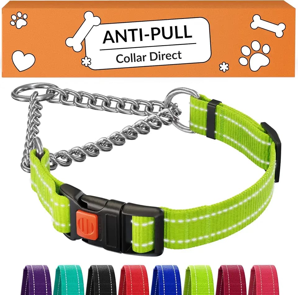 CollarDirect Martingale, Steel Chain, Reflective (M, 14-17", Lime Green)