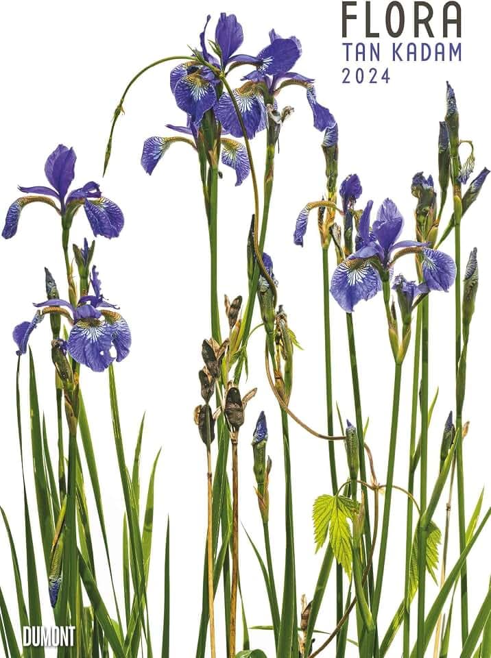 DUMONT Flora Tan Kadam Posterkalender 2024, im Format 50 x 70 cm, Monatskalender Blumen- und Pflanzenkalender mit außergewöhnlichen Bildern