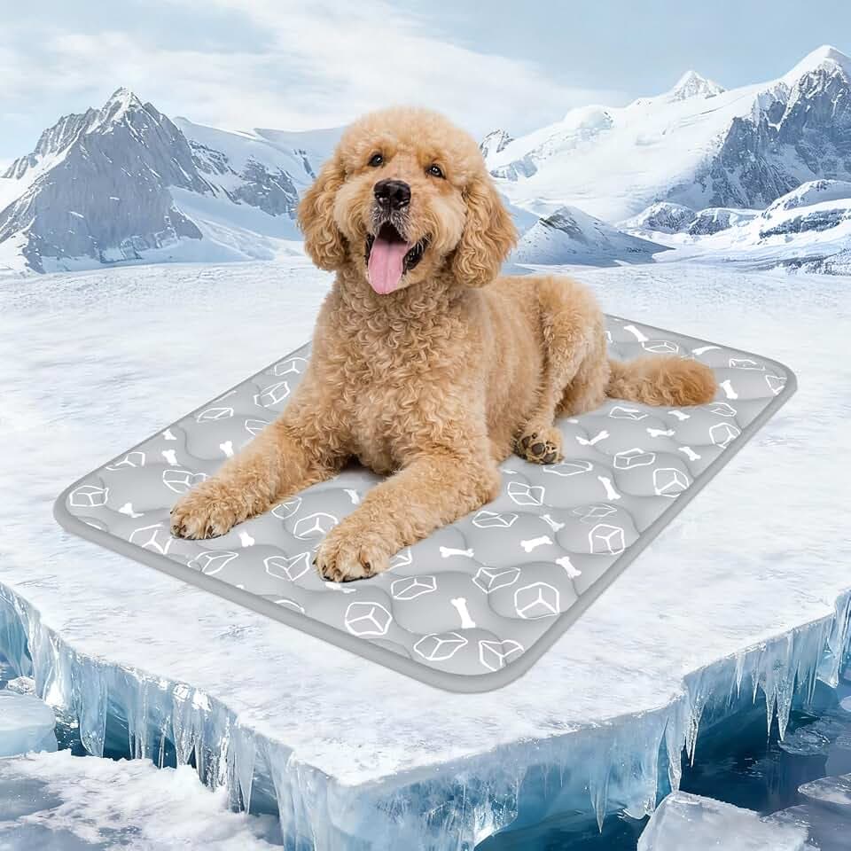 Rywell Kühlmatte Hund, Arc-Chill-Gewebe, 2cm Dick, 90x70 cm, Grau