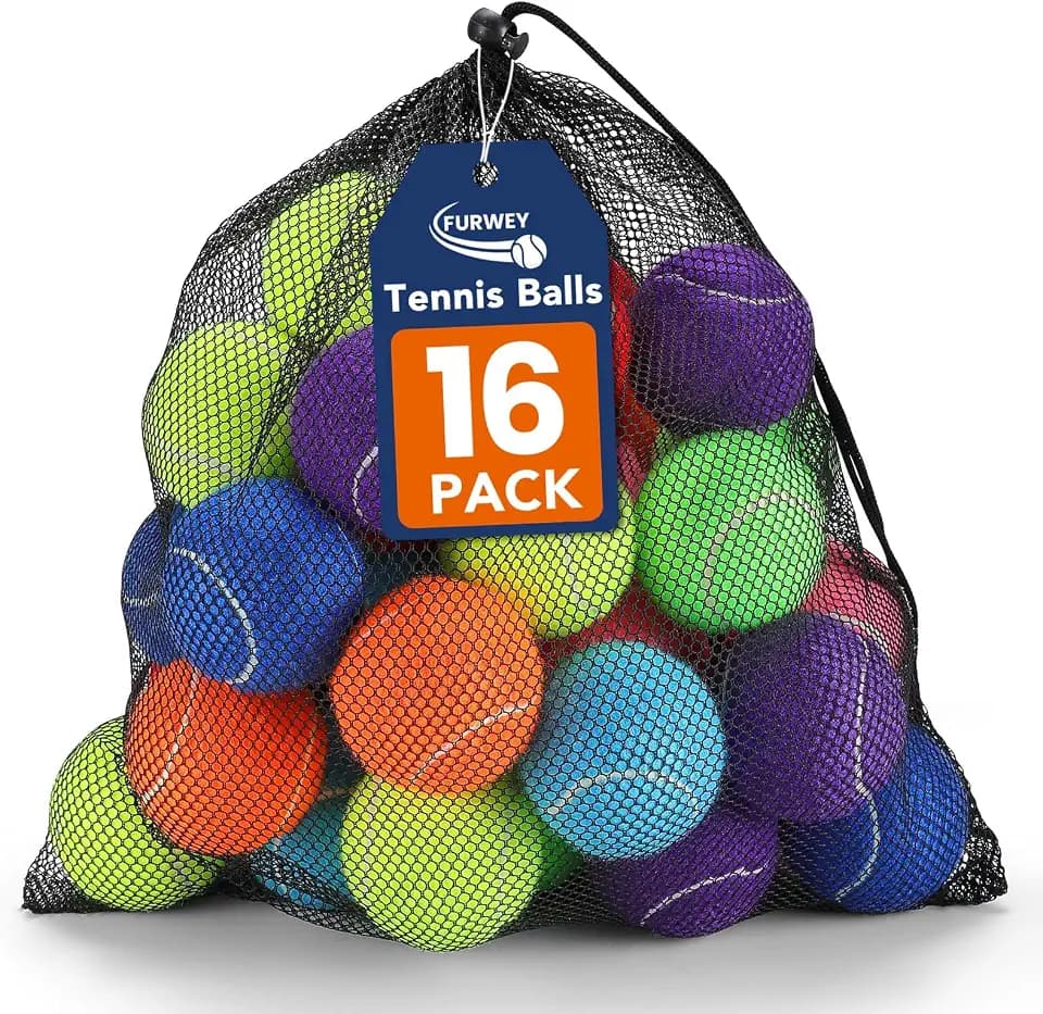 FURWEY Colorful Tennis Balls for Dogs, 2.5 inches, 16 Pack, Non Squeaky