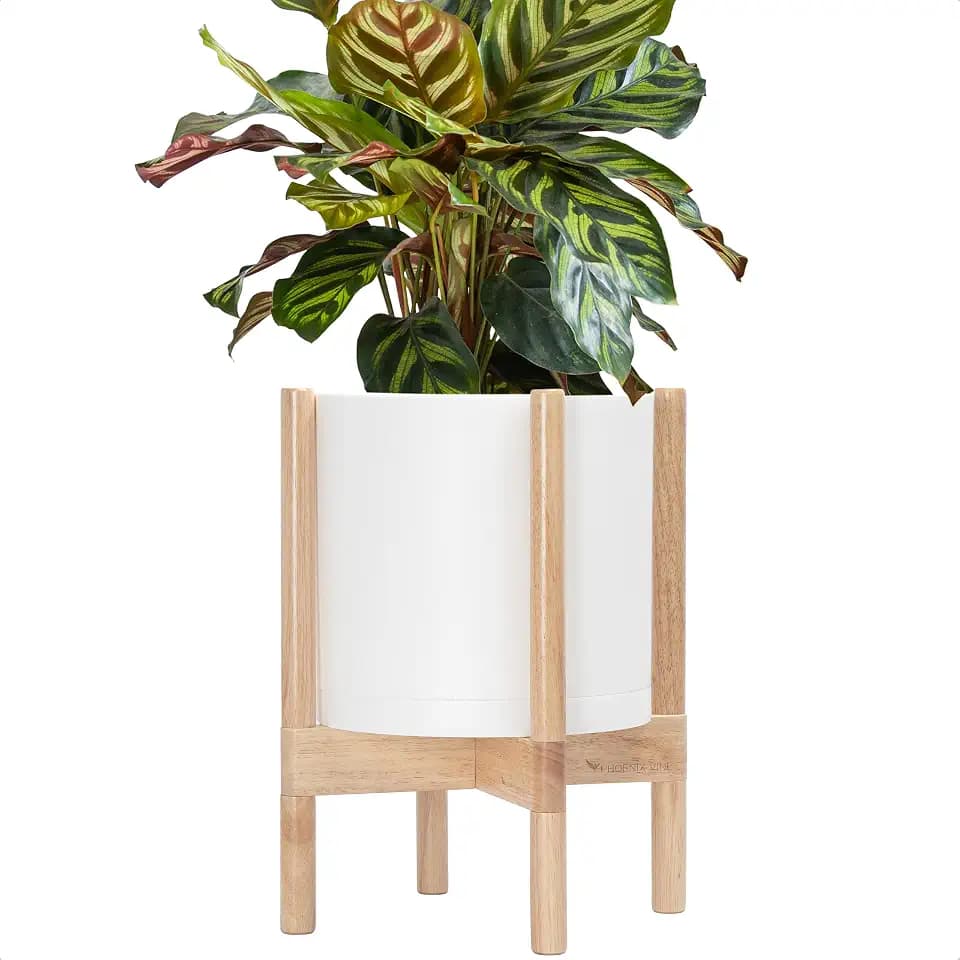D'vine Dev Plastic Pot with Natural Wood Stand, White, 10 in, 55-C-M-1
