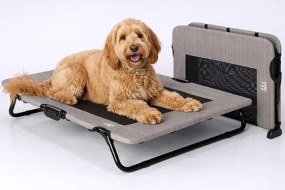 Pet Gear Lifestyle Pet Cot Elevated Bed, 30 Inch, Sand Dune