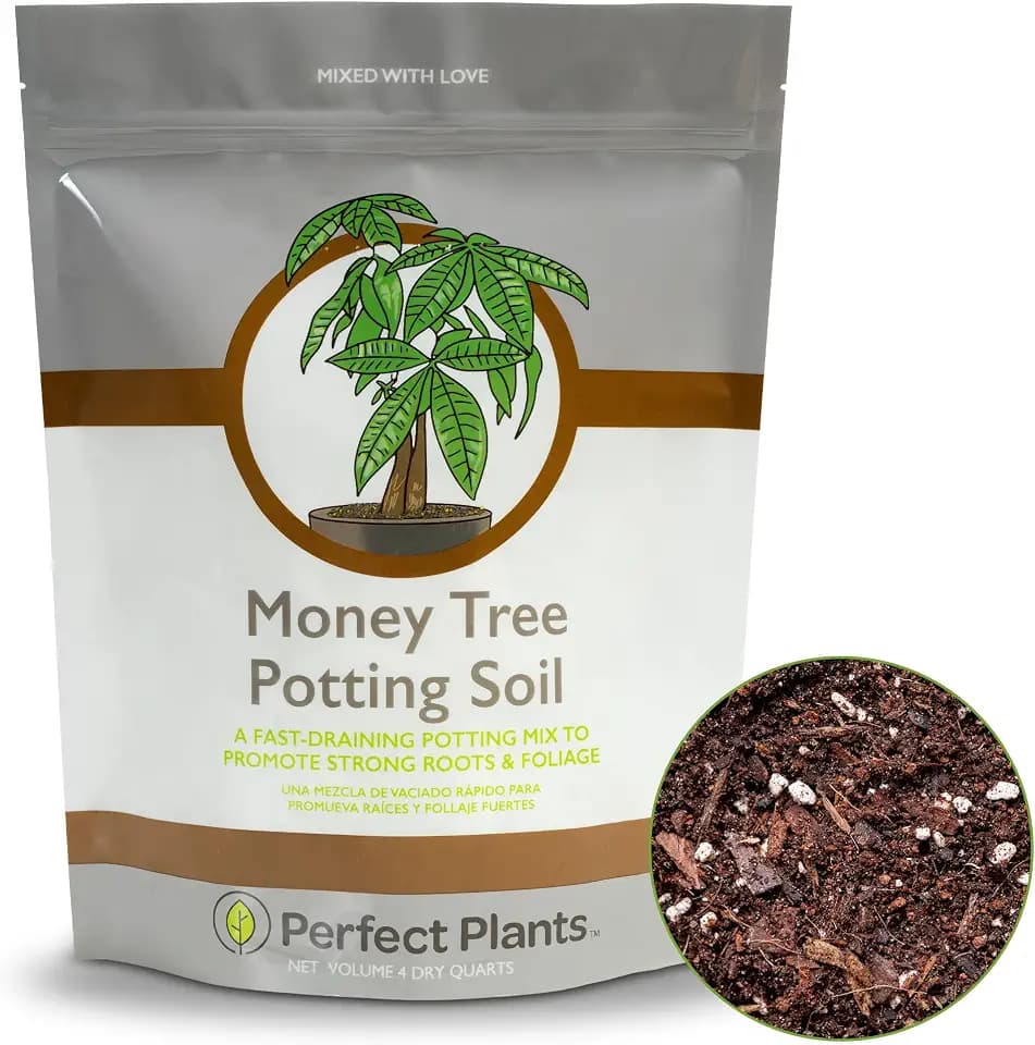 Perfect Plants Money Tree Potting Soil, 4 qt, Indoor Coco Coir Mix