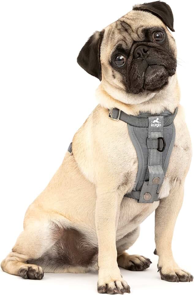 Kurgo Enhanced Strength Tru-Fit Smart Harness, Charcoal, Extra Small
