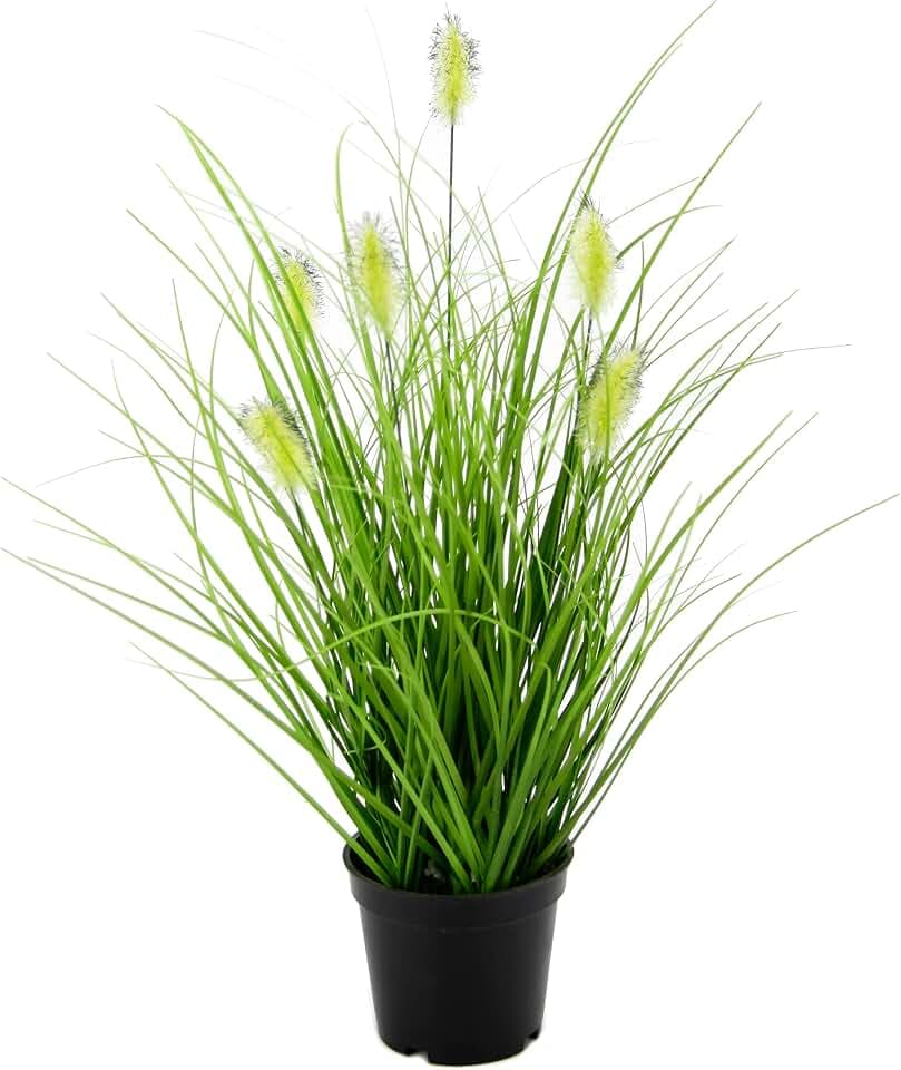 Künstliches Fuchsschwanzgras im Topf Gras Kunstpflanze Kunstgras Ziergras Grünpflanzen Dekogras Grasbüschel Ziergras Solitärgras Deko Grasarrangement Borstenhirse Panicoideae Süßgräser Setaria