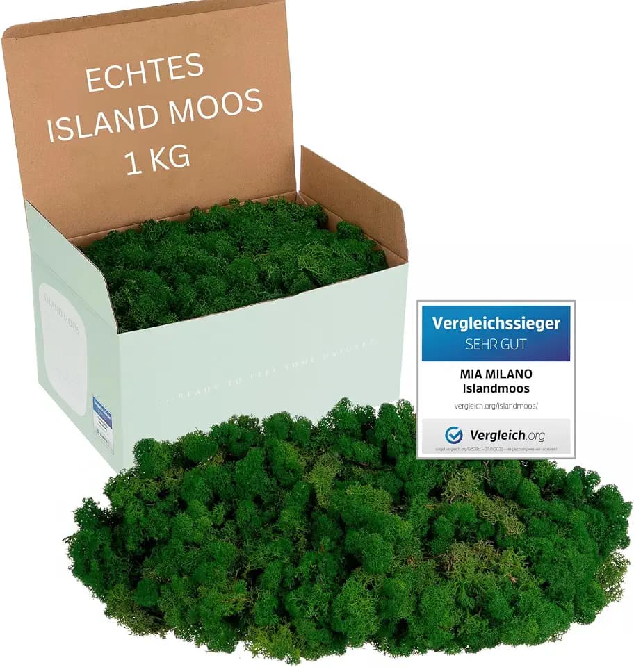 Mia Milano Islandmoos dunkelgrün konserviert | Moos Deko zum Basteln | 1kg Echtes Dekomoos Isländisch für Moosbild | Mooswand lebend