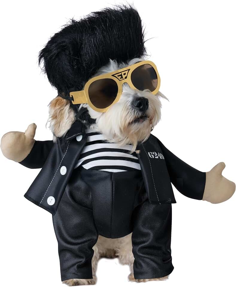 Elvis Presley, Jailhouse Rock Dog Costume, Medium for Small Dogs