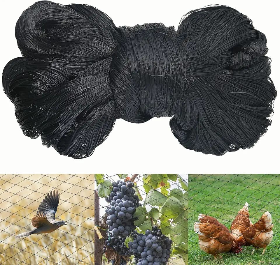 Vogelschutznetz 10x10m, Vogelnetz Schwarz, Netz für Hühnergehege, Volierennetz,Teichnetz, Geflügelnetz Geeignet zum Schutz von Obstbäumen Balkon und Gemüse vor Vögeln(Maschenweite 5 x 5 cm)
