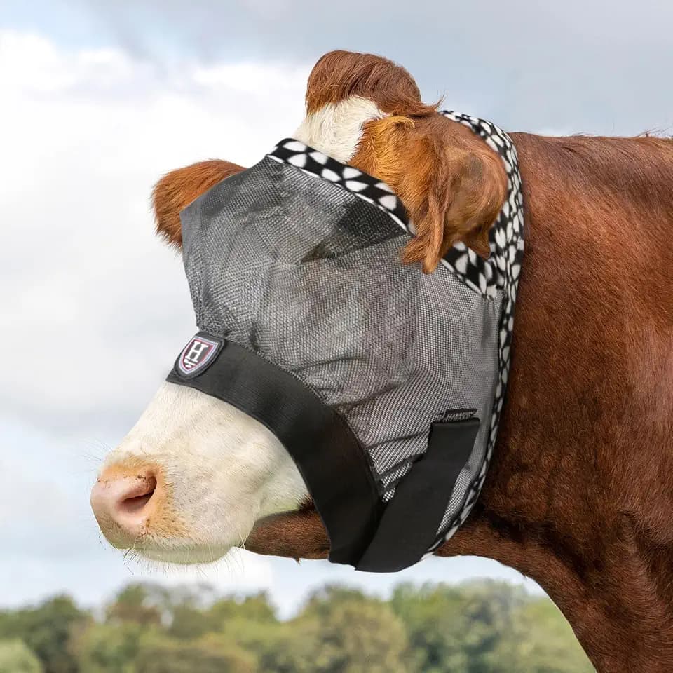 Harrison Howard Cattle Livestock Fly Mask Breathable Mesh Padded Edging with Fun Patterns Large Spacing Forelock Opening Design Adjustable Fit for Cattle Deep Grey